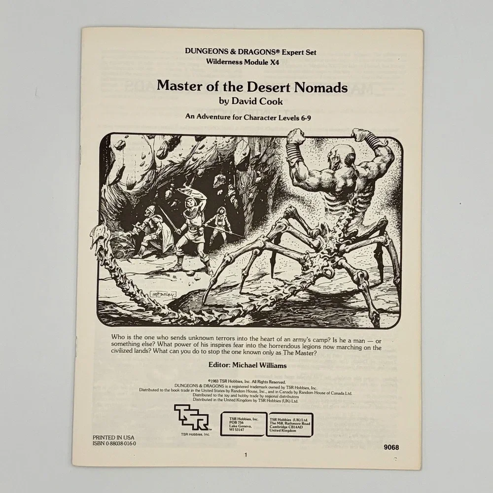 Tsr dungeons dragons